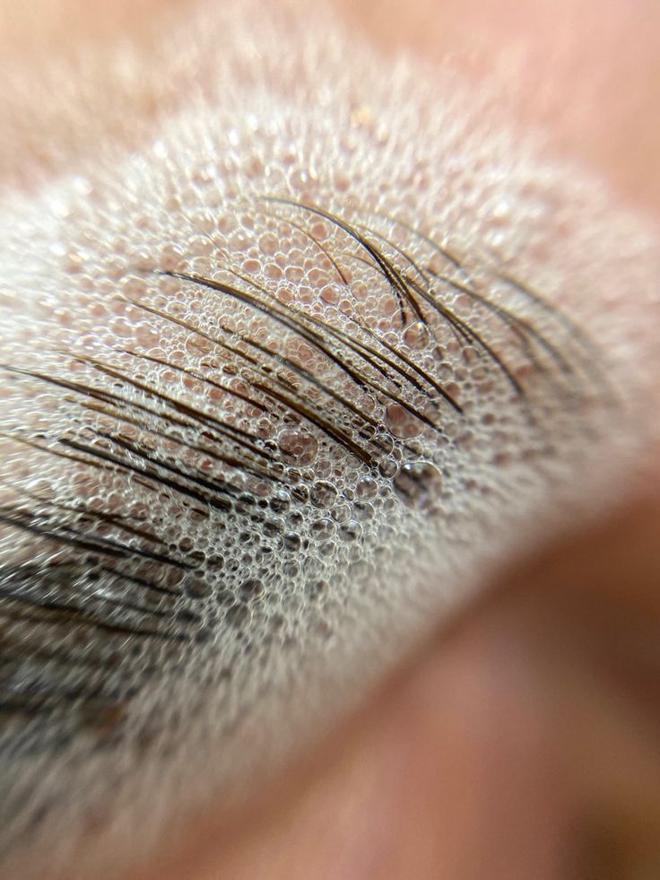 Brow Artistry