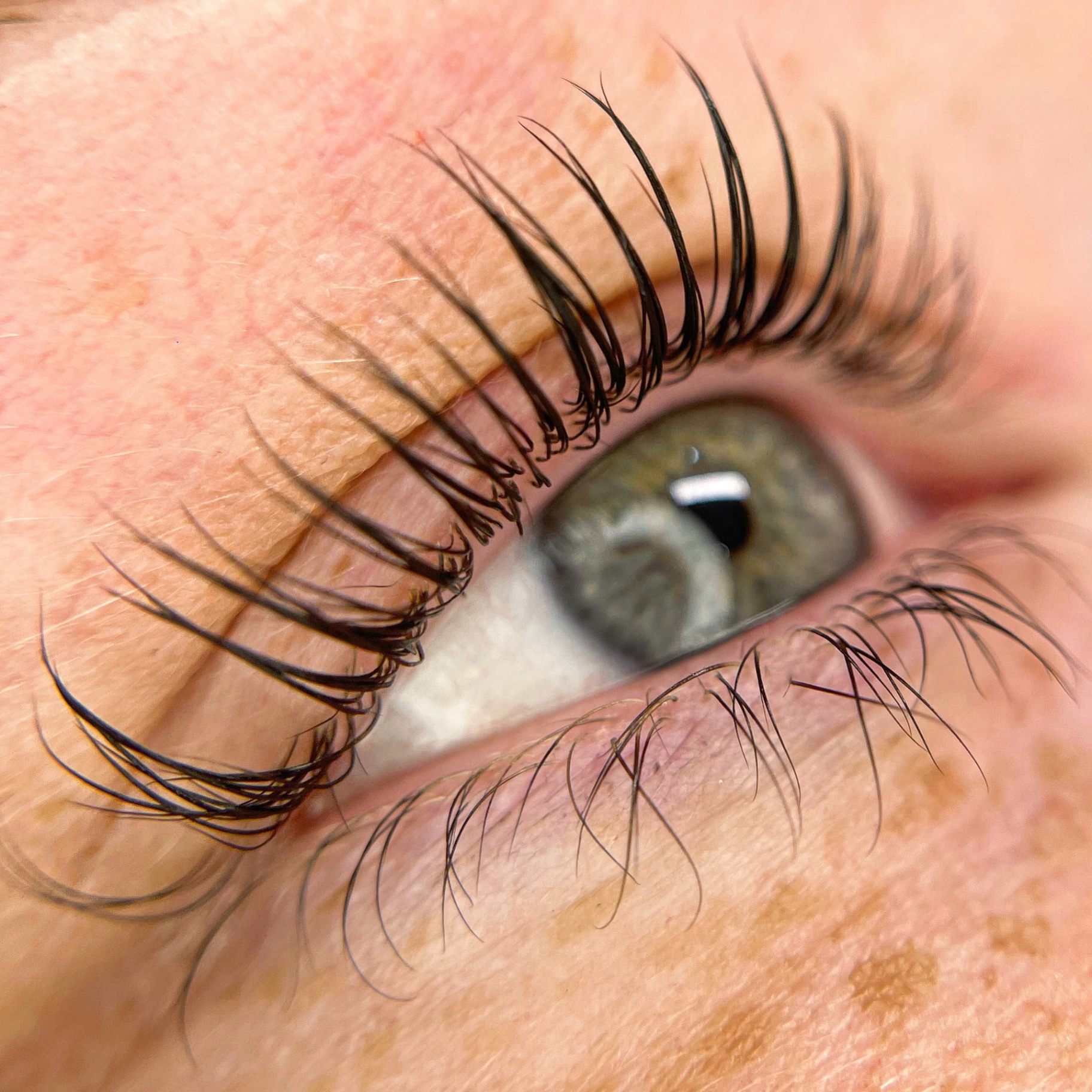 Lash Artistry